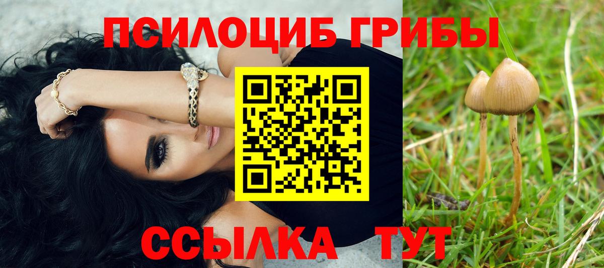 Псилоцибиновые грибы мухоморы Кизляр